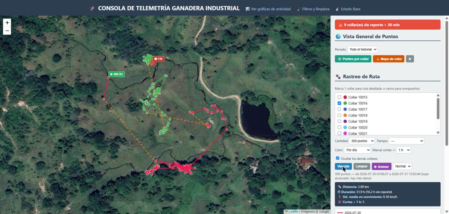 Ruta de una vaca individual con un color distinto por día